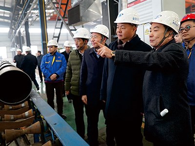 衡陽市委書記、市人大常委會主任鄭建新視察金化高容